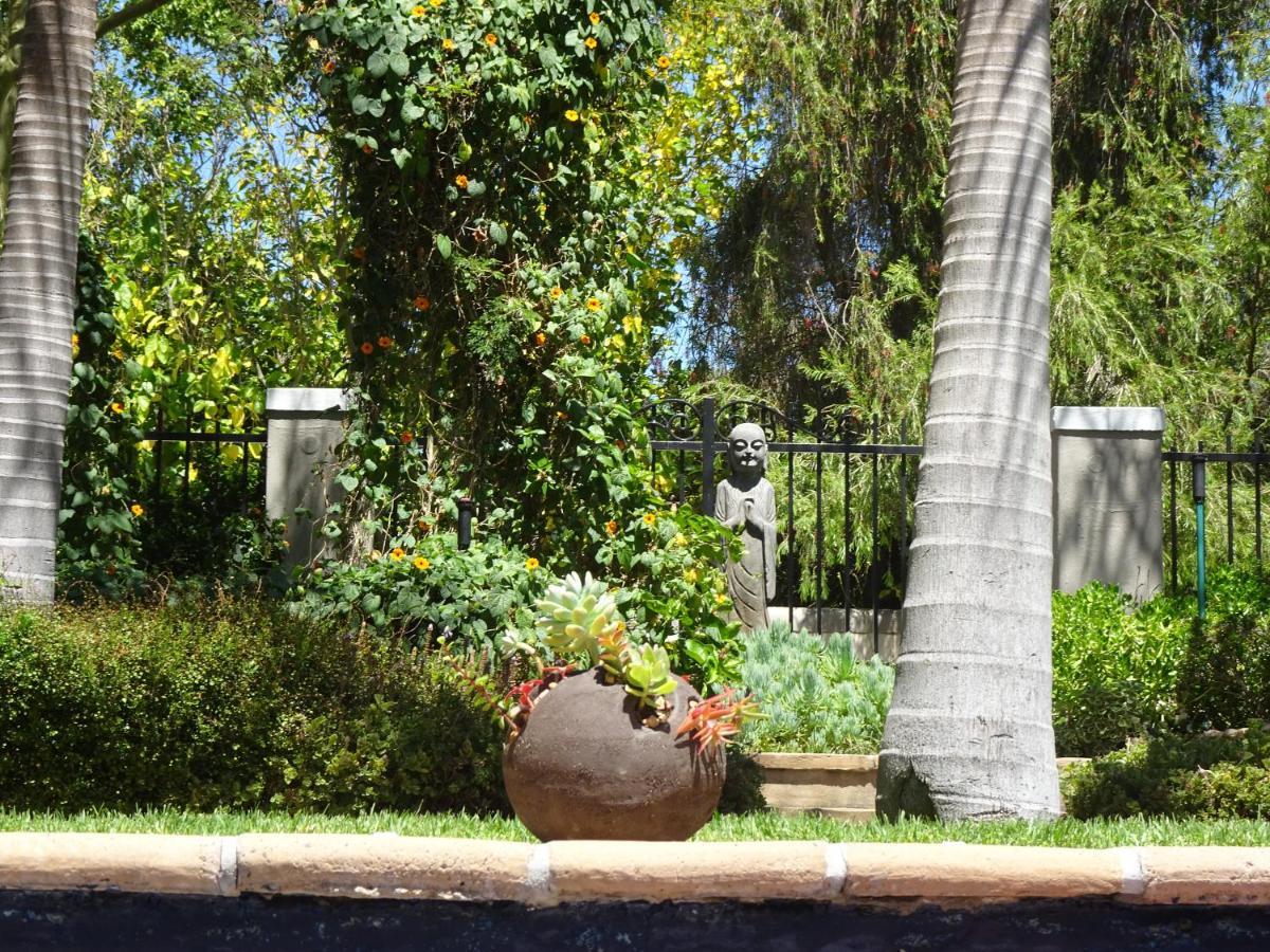 African Palm Cottage And Guesthouse Durbanville Exterior foto